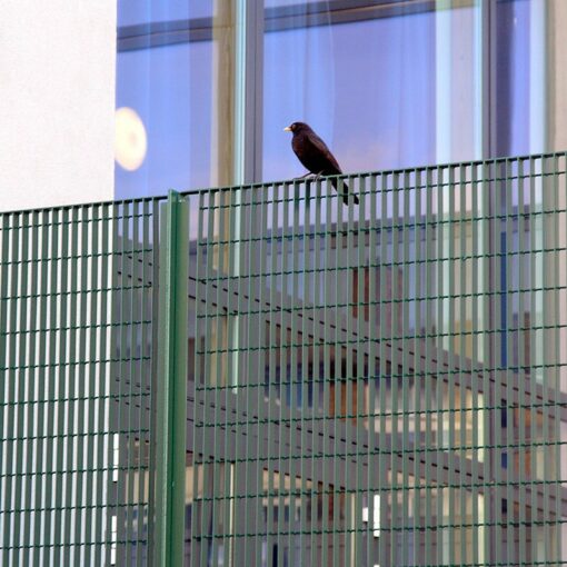 Novara 25 Rokeby School grating fence 08