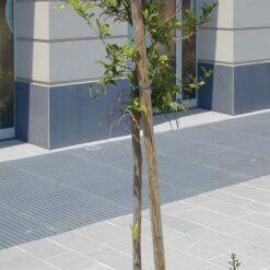 EF 11x76 heel proof grating