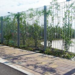 Plant Trellis