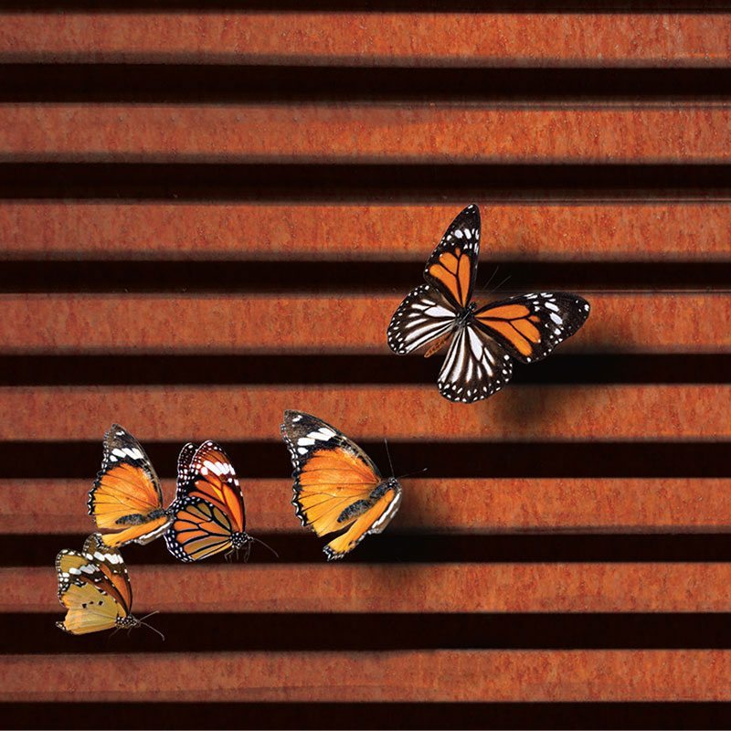 LF Italia Steel louvre wall cladding corten web