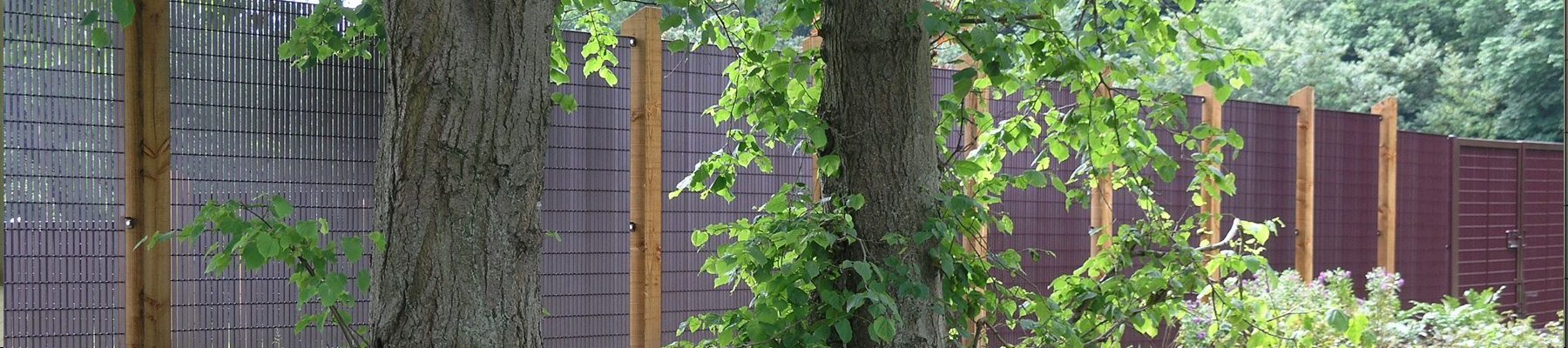 LF Novara 34 grating fence Toronto Primary School banner 1 LF Novara 34 grating fence Toronto Primary School banner 1
