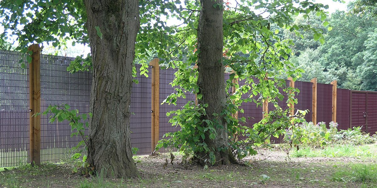 LF Novara 34 grating fence Toronto Primary School news 1 LF Novara 34 grating fence Toronto Primary School news 1