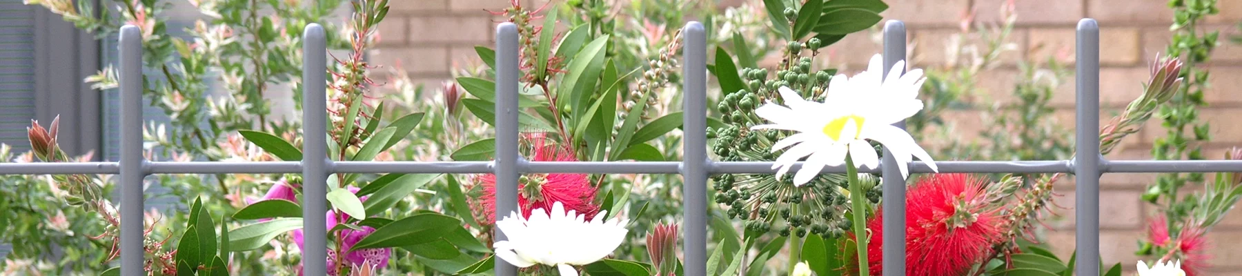 Bellevue colonies railing fence banner Bellevue colonies railing fence banner