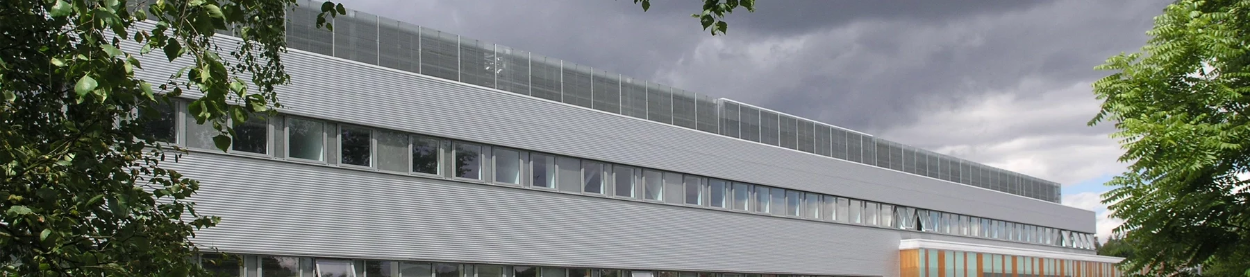 Suffolk New College Micro-25 open mesh grating rooftop screen Suffolk New College rooftop screen for HVAC and service plant made from open mesh grating